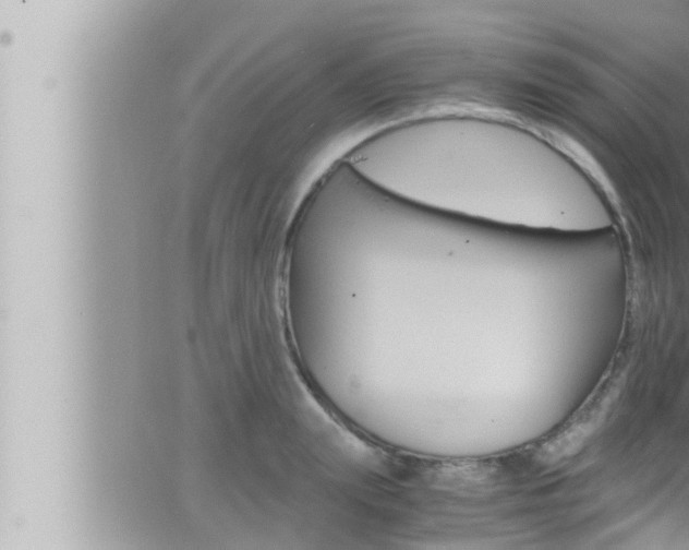 X0000066520847200603170948