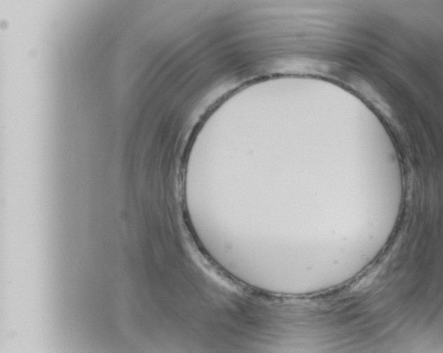 X0000066520848200603170948