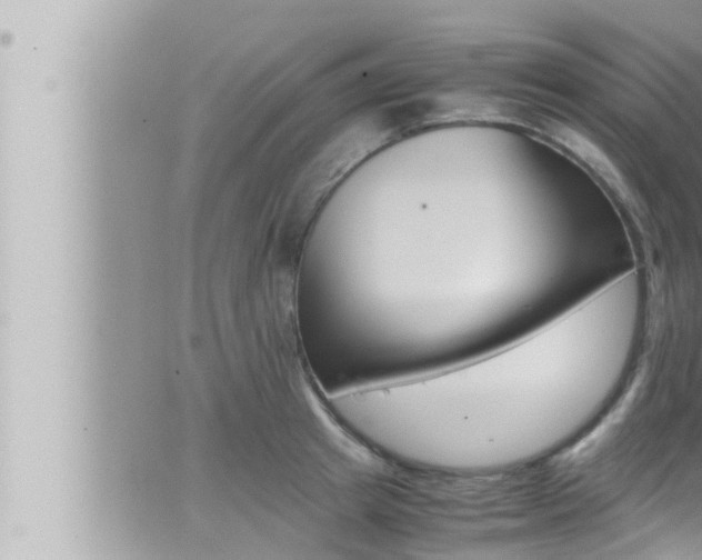 X0000066520849200603170948