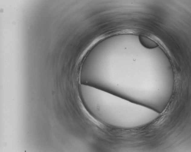 X0000066520851200603170948