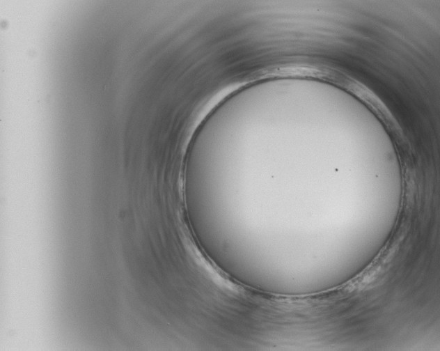 X0000066520852200603170948