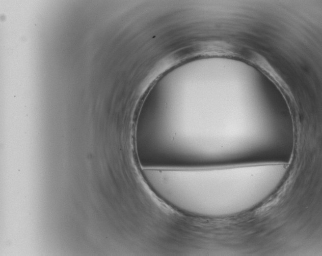 X0000066520853200603170948