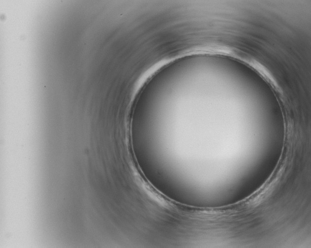 X0000066520854200603170948