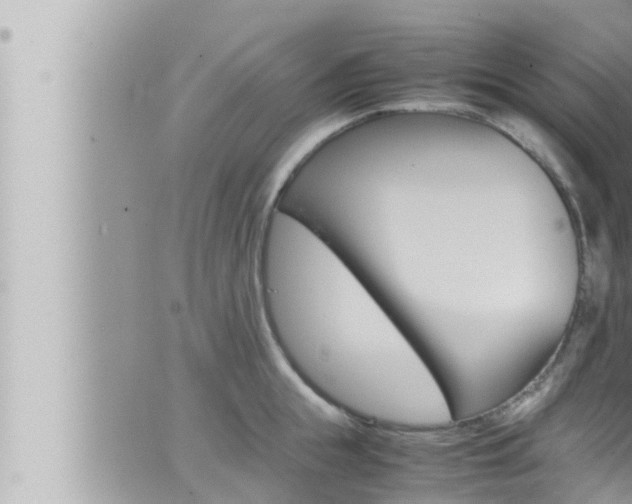 X0000066520855200603170948