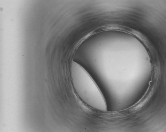 X0000066520857200603170948