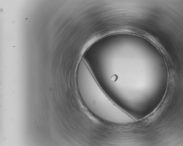 X0000066520858200603170948