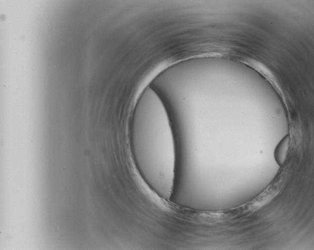 X0000066520859200603170948