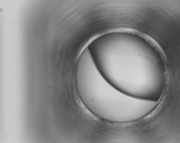 X0000066520860200603170948