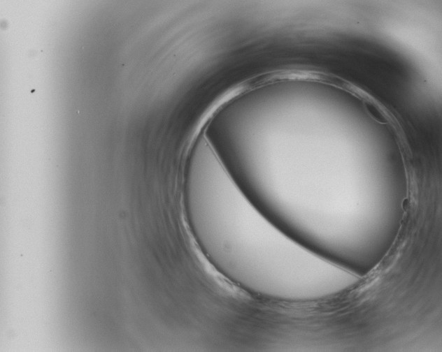 X0000066520861200603170948