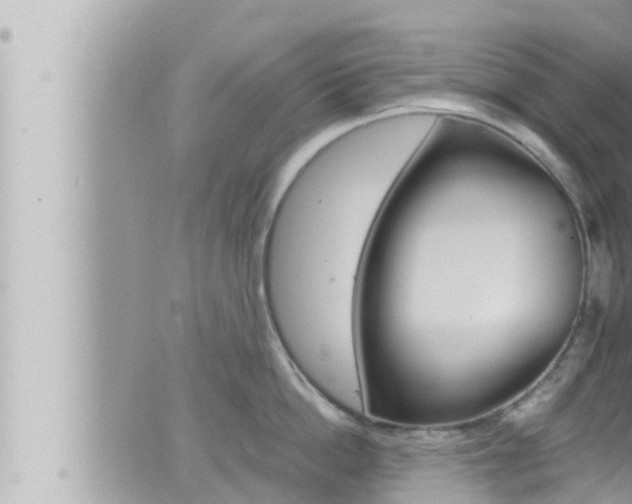 X0000066520862200603170948