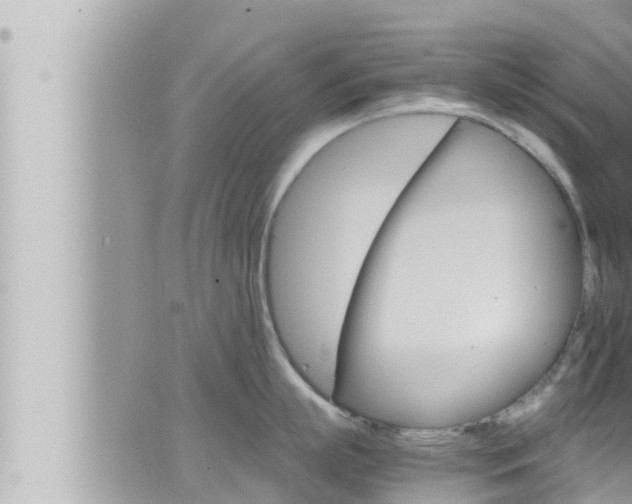 X0000066520863200603170948