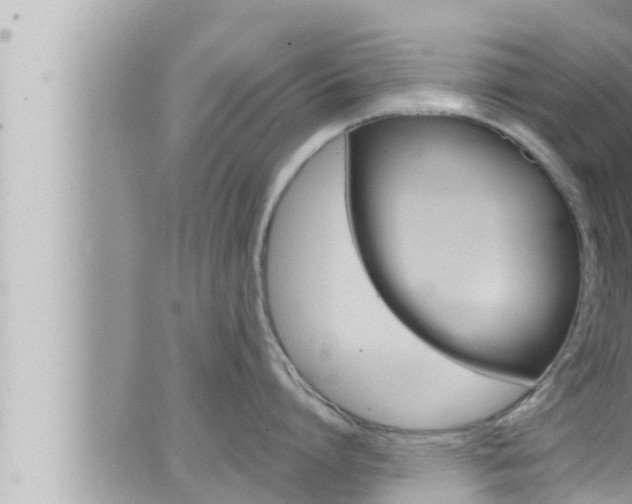 X0000066520864200603170948