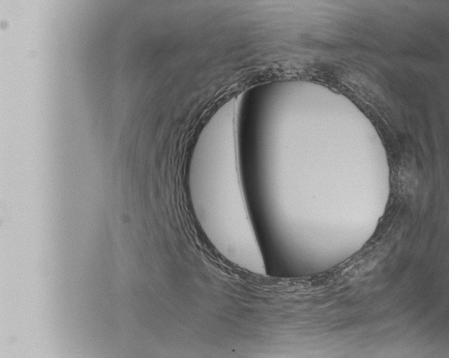 X0000066520865200603170948