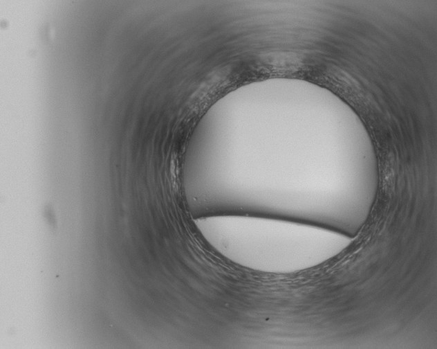 X0000066520866200603170948