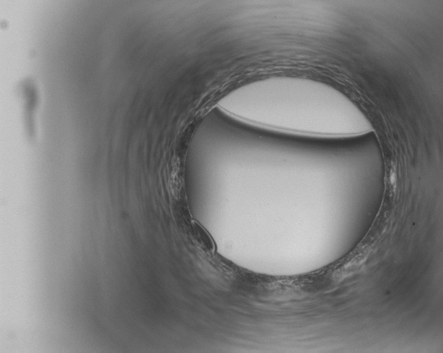 X0000066520867200603170948