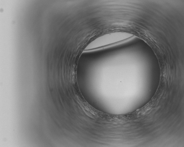 X0000066520868200603170948