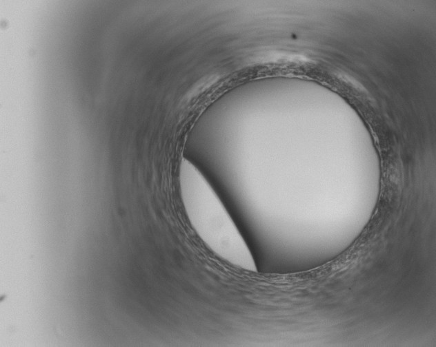 X0000066520869200603170948