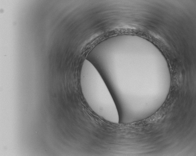 X0000066520870200603170948