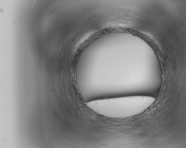 X0000066520871200603170948