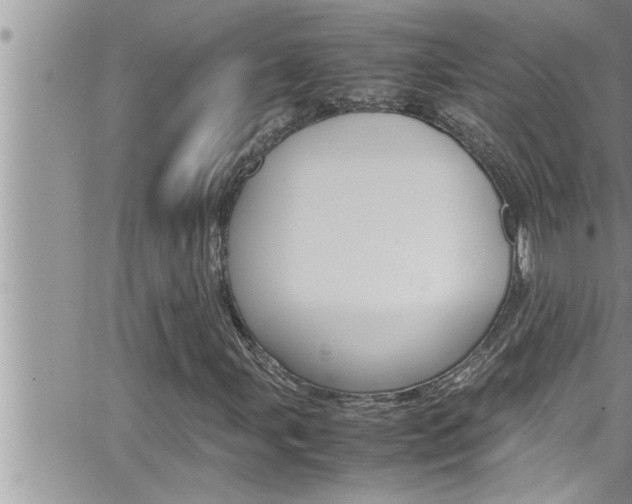 X0000066521107200603170943