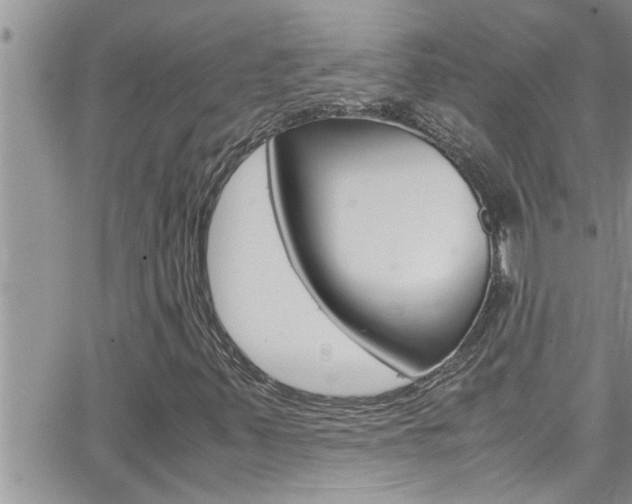 X0000066521347200603170940