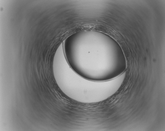 X0000066521394200603170938