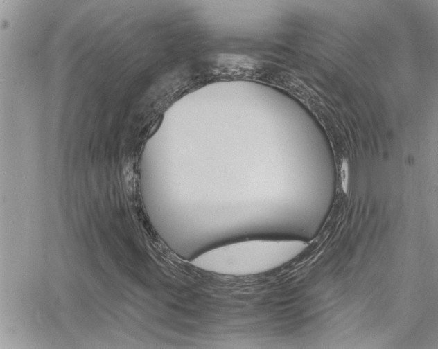 X0000066521395200603170938