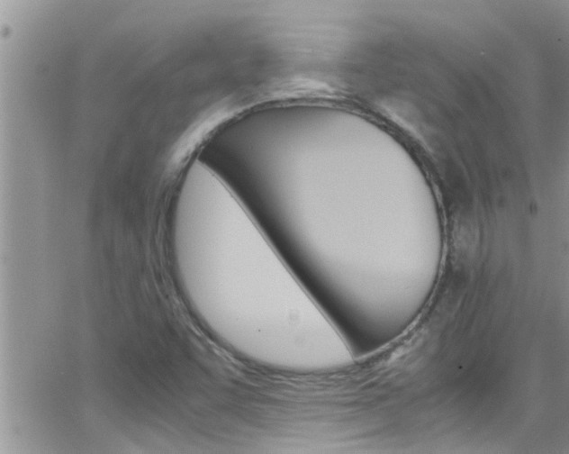 X0000066521455200603170938