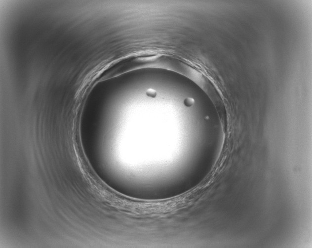 X0000066520001200603171230