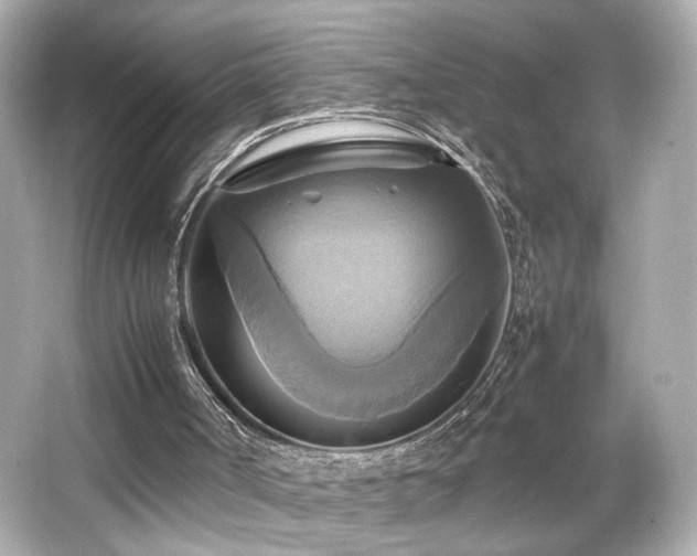 X0000066520002200603171230