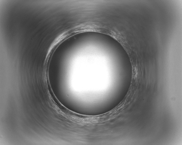 X0000066520004200603171230