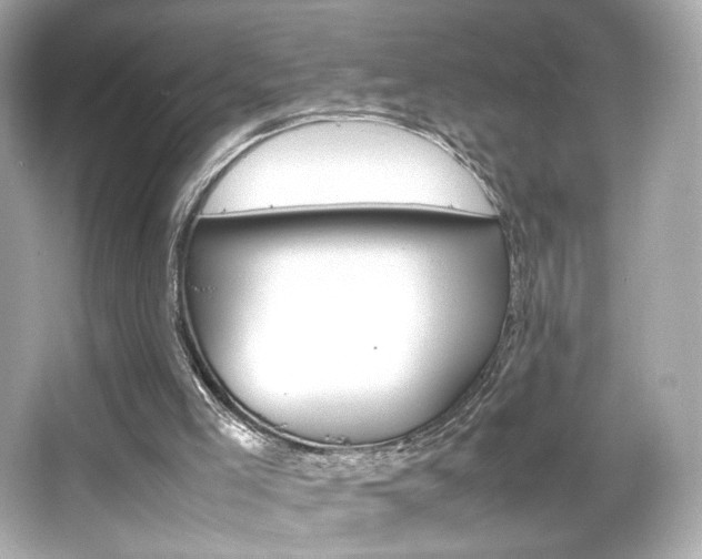 X0000066520005200603171230