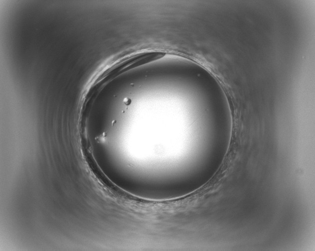 X0000066520007200603171230