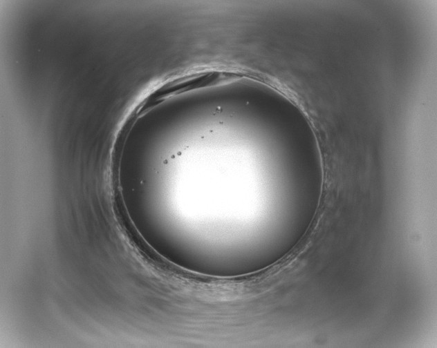 X0000066520008200603171230