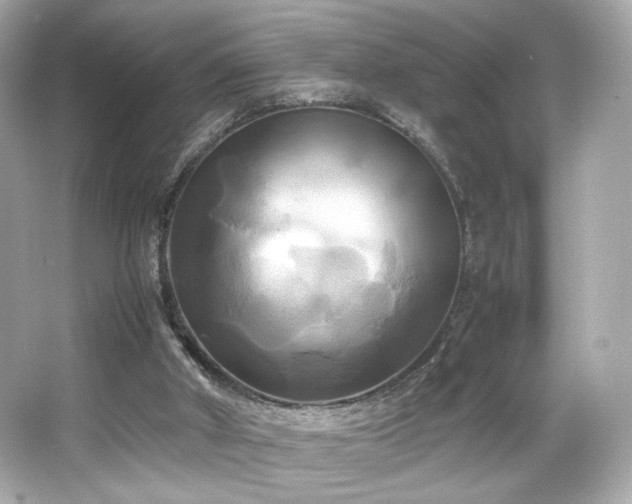 X0000066520010200603171230