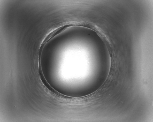 X0000066520011200603171230