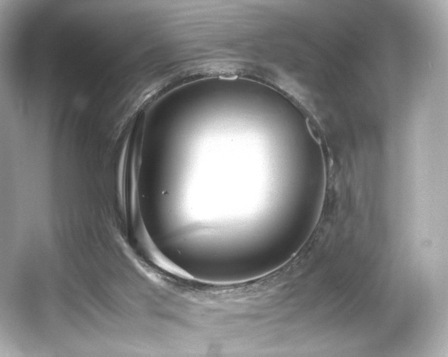 X0000066520013200603171230