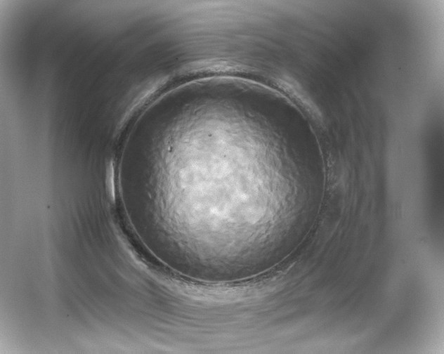 X0000066520014200603171230