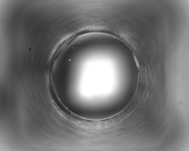 X0000066520015200603171230