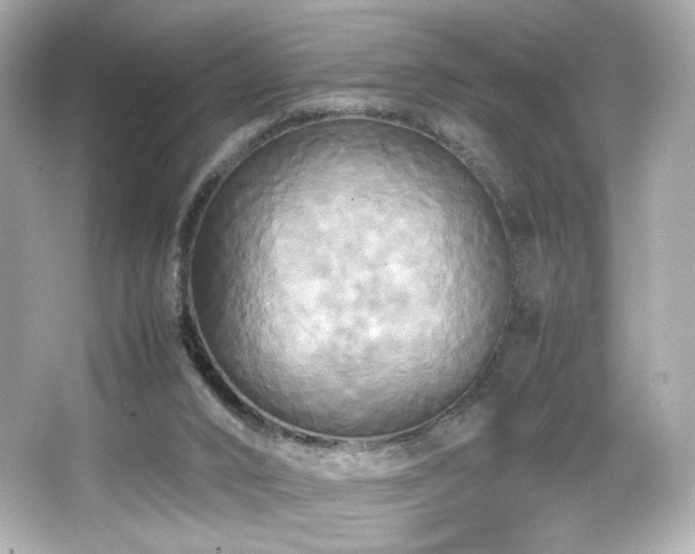 X0000066520016200603171230