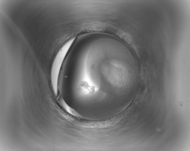 X0000066520017200603171230