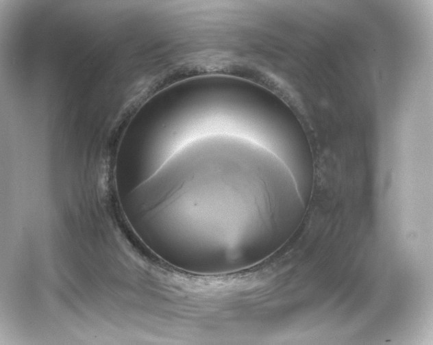 X0000066520018200603171230