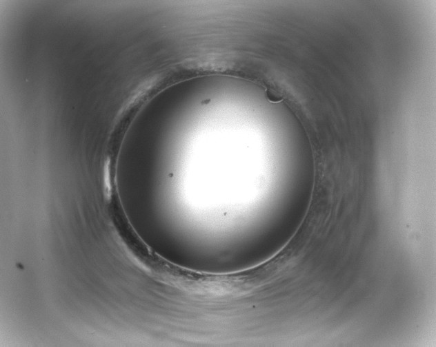 X0000066520020200603171230