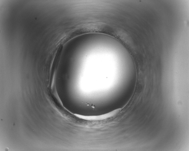 X0000066520021200603171230