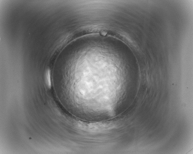 X0000066520022200603171230