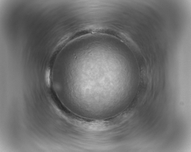 X0000066520024200603171230