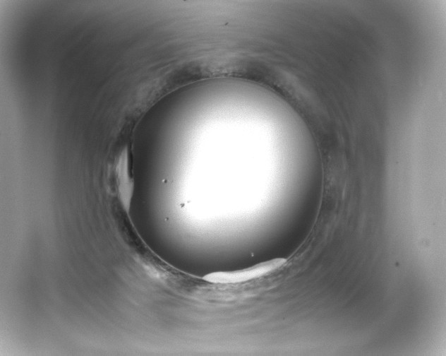 X0000066520025200603171230