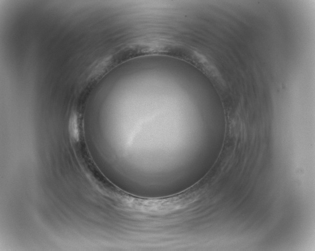 X0000066520026200603171230