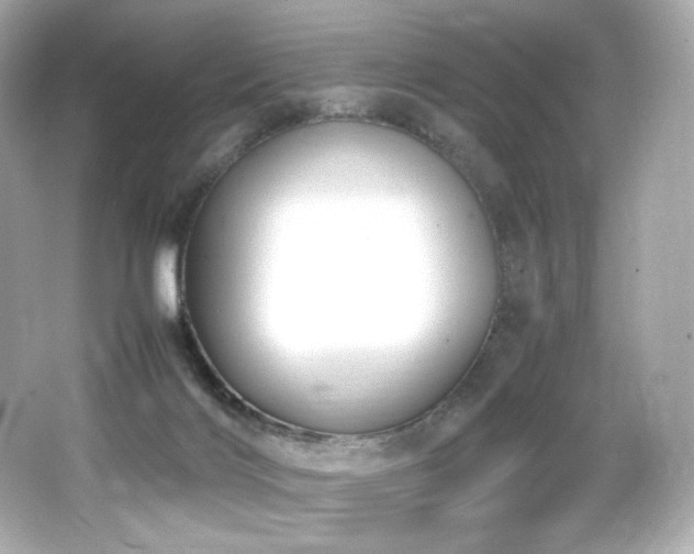 X0000066520028200603171230