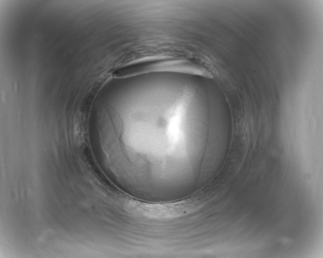 X0000066520030200603171230